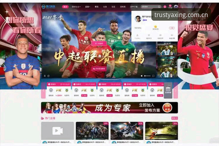 亚星娱乐手机客户端 亚星体育平台移动端用户体验深度剖析:从APP到全场景娱乐新范式
